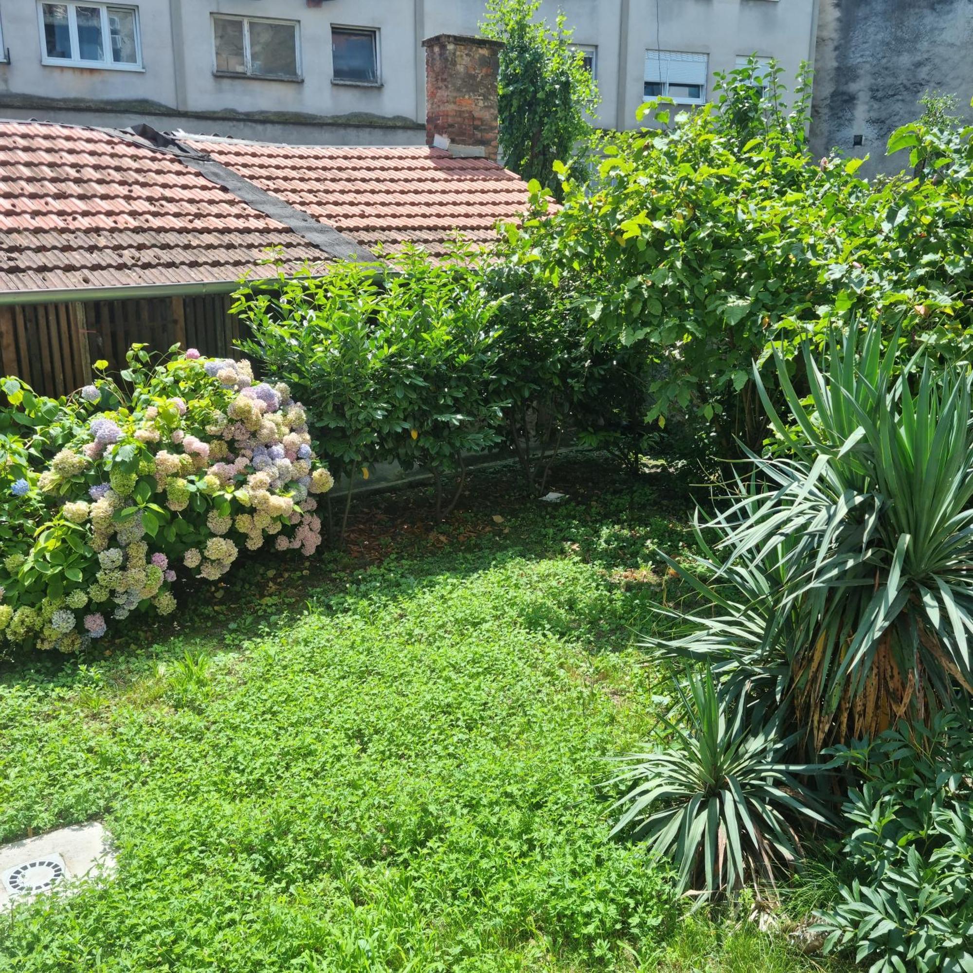 זאגרב Apartment Piece Of Peace מראה חיצוני תמונה